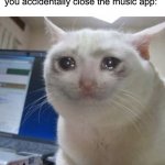 True pain | When you’re closing apps and you accidentally close the music app: | image tagged in crying cat,memes,funny,true story,relatable memes,music | made w/ Imgflip meme maker