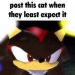 shadow post this cat when they least expect it