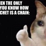 Thumbs up crying cat | WHEN THE ONLY THING YOU KNOW HOW TO CROCHET IS A CHAIN: | image tagged in thumbs up crying cat | made w/ Imgflip meme maker