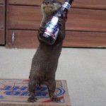 Day two of posting an otter with a beer | DAY 2 OF POSTING AN OTTER WITH A BEER; FOR 50 DAYS | image tagged in beer otter,memes,funny,animals,otters,funny memes | made w/ Imgflip meme maker