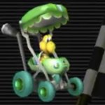 Koopa in a stroller.