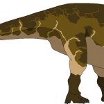 Corythosaurus (Male)