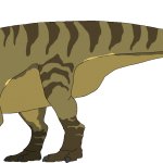 Parasaurolophus (Female)