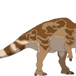 Lambeosaurus (Female)