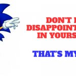 Classic sonic says | DON'T BE DISAPPOINTMENT IN YOURSELF; THAT'S MY JOB | image tagged in classic sonic says,sonic says | made w/ Imgflip meme maker