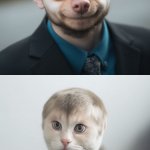 dog_sad_cat_business_meme template