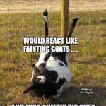 Fainting Goat | I WISH OFFENDED PEOPLE; WOULD REACT LIKE FAINTING GOATS . . . MEMEs by Dan Campbell; AND JUST QUIETLY TIP OVER | image tagged in fainting goat | made w/ Imgflip meme maker