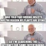 Not so boring insects? | I WAS TOLD THAT BORING INSECTS ARE THE REASON MY PLANTS ARE DYING; SO, I'M SEARCHING THE INTERNET FOR SOME ENTERTAINING INSECTS TO PUT IN THE GARDENS | image tagged in memes,hide the pain harold,insects,satire,insect,gardening | made w/ Imgflip meme maker