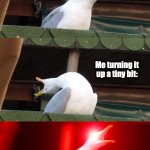Inhaling seagull | My TV on it's current volume:; Me turning it up a tiny bit: | image tagged in inhaling seagull,tv,life | made w/ Imgflip meme maker