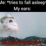 Fr. anyone else? | Me: *tries to fall asleep*; My ears:; IIIIIHHHHHHHHHHHHHHHH | image tagged in screaming cowboy cat,memes,sleep,relatable,relatable memes,funny | made w/ Imgflip meme maker