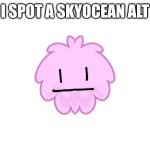 I spot a SkyOcean alt
