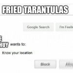Anne would be in metaphorical heaven when she realizes tarantulas are actually a delicacy in some countries. | FRIED TARANTULAS; ANNE BOONCHUY | image tagged in would like to know your location | made w/ Imgflip meme maker