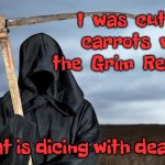 The grim reaper | I  was  cutting  carrots  with  the  Grim  Reaper –; that is dicing with death. | image tagged in grim reaper,diced carrots,with the reaper,dicing with death,fun | made w/ Imgflip meme maker