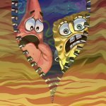 What did SpongeBob and Patrick see in the fly of despair