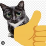 Thumbs up cat template