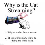 Why is the cat streaming | image tagged in why is the cat streaming | made w/ Imgflip meme maker