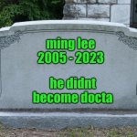 Gravestone | ming lee
2005 - 2023; he didnt become docta | image tagged in gravestone | made w/ Imgflip meme maker