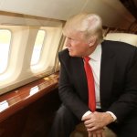 Trump on a plane