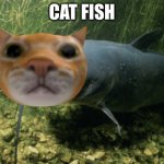 catfish | CAT FISH | image tagged in catfish | made w/ Imgflip meme maker