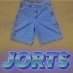 Jorts