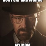 Walter White | JESSE PLEASE DONT SAY BAD WORDS; MY MOM  CHECKS MY IPAD | image tagged in walter white | made w/ Imgflip meme maker