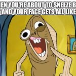 Spongebob Funny Face | WHEN YOU'RE ABOUT TO SNEEZE BUT DON'T AND YOUR FACE GETS ALL LIKE THIS | image tagged in spongebob funny face,religion,memes,funny memes,funny | made w/ Imgflip meme maker