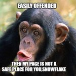 Chimpanzee | EASILY OFFENDED; THEN MY PAGE IS NOT A SAFE PLACE FOR YOU,SNOWFLAKE | image tagged in chimpanzee | made w/ Imgflip meme maker