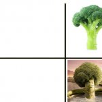 Gangsta Broccoli
