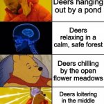 You'd think they would have learned by now... | Deers hanging out by a pond; Deers relaxing in a calm, safe forest; Deers chilling by the open flower meadows; Deers loitering in the middle of a 5-lane freeway | image tagged in drake brain pooh crossover | made w/ Imgflip meme maker