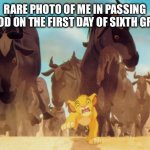 Passing period in middle school is ROUGH | RARE PHOTO OF ME IN PASSING PERIOD ON THE FIRST DAY OF SIXTH GRADE: | image tagged in lion king stampede | made w/ Imgflip meme maker