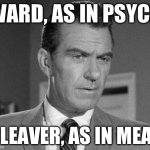 Not Happy Ward Cleaver | WARD, AS IN PSYCH; CLEAVER, AS IN MEAT | image tagged in not happy ward cleaver | made w/ Imgflip meme maker