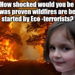 How shocked would you be if it was proven wildfires are being started by Eco -terrorists? | How shocked would you be 
if it was proven wildfires are being 
started by Eco -terrorists? | image tagged in disaster girl but it's wild fire,greenpeace,just stop oil,dale vince | made w/ Imgflip meme maker
