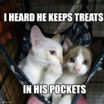 Whisper | I HEARD HE KEEPS TREATS; IN HIS POCKETS | image tagged in whisper | made w/ Imgflip meme maker