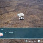 We found a castaway