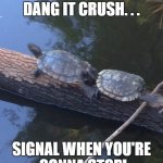 Turtles meme