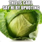 Cabbage | THIS IS CARL  SAY HI BY UPVOTING | image tagged in cabbage | made w/ Imgflip meme maker