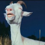 Ohhhh that feels so nice | HOW IT FEELS WHEN YOU TAKE YOUR SOCKS OFF AFTER A LONG HOT DAY | image tagged in relieved goat,relatable memes,funny | made w/ Imgflip meme maker