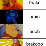 Drake, brain, Pooh crossover | Drake; brain; pooh; brakooo | image tagged in drake brain pooh crossover | made w/ Imgflip meme maker