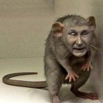 Rat Putin