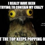 Weird Stuff I Do Potoo Meme | I REALLY HAVE BEEN TRYING TO CONTAIN MY CRAZY; MEMEs by Dan Campbell; BUT THE TOP KEEPS POPPING OFF ! | image tagged in memes,weird stuff i do potoo | made w/ Imgflip meme maker