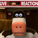 Live Otis Reaction