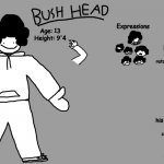 Bush Head Reference Sheet v1