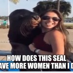 :( | HOW DOES THIS SEAL HAVE MORE WOMEN THAN I DO | image tagged in seal if woman | made w/ Imgflip meme maker