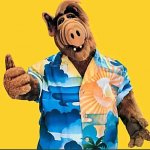 Alf