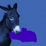 Democrat Donkey