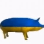 Ukraine pig