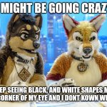 Furry News | I MIGHT BE GOING CRAZY; BC I KEEP SEEING BLACK, AND WHITE SHAPES MOVING AT THE CORNER OF MY EYE AND I DONT KOWN WHAT IT IS | image tagged in furry news | made w/ Imgflip meme maker