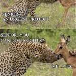 senior and junior jobs | SENIOR: 
AN URGENT PROJECT. SENIOR: YOU CAN DO IT. RIGHTS? ME: ...YES. | image tagged in leopard hugging deer | made w/ Imgflip meme maker