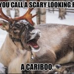 Daily Bad Dad Joke 08/14/2023 | WHAT DO YOU CALL A SCARY LOOKING REINDEER? A CARIBOO. | image tagged in caribou | made w/ Imgflip meme maker