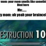 Destruction 100 | My mom: your room smells like something 
Died here; Me:...... My mom: oh yeah your braincells | image tagged in destruction 100 | made w/ Imgflip meme maker